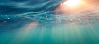 Meet the Sea Magik Mentors!